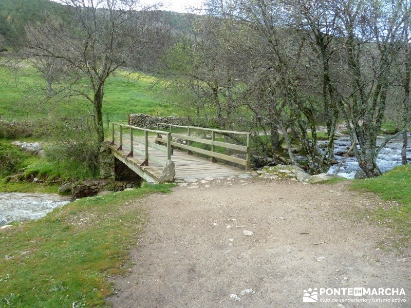 Río Lozoya - arroyo de la Angostura